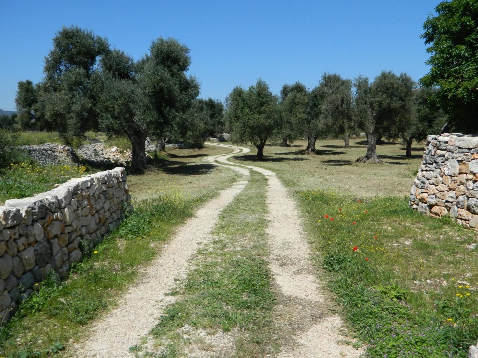 Masseria Purgatorio Fasano Exterior photo