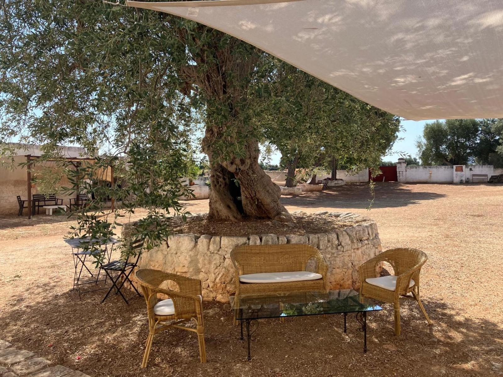 Masseria Purgatorio Fasano Exterior photo